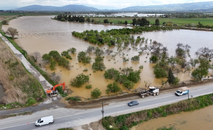 Büyük Menderes Nehri Taştı, Koçarlı Ovası Sular Altında Kaldı