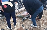Kontrolden Çıkan Otomobil Kamyonun Altına Girdi