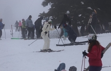 47 Bin Araç Giriş Yaptı, Ziyaretçi Sayısı 230 Bini Aştı!