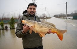 Tarladan 7 Kiloluk Sazan Çıktı!