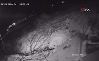 Artvin’de Kurt İstilası: Aç Kalan Sürü Köy Merkezine İndi!