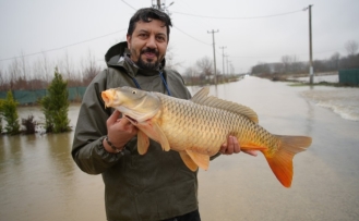 Tarladan 7 Kiloluk Sazan Çıktı!