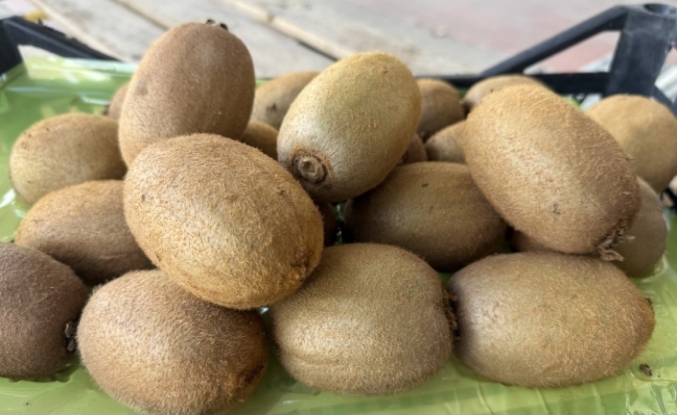 Dev Kiviler Avrupa Pazarını Sallıyor!